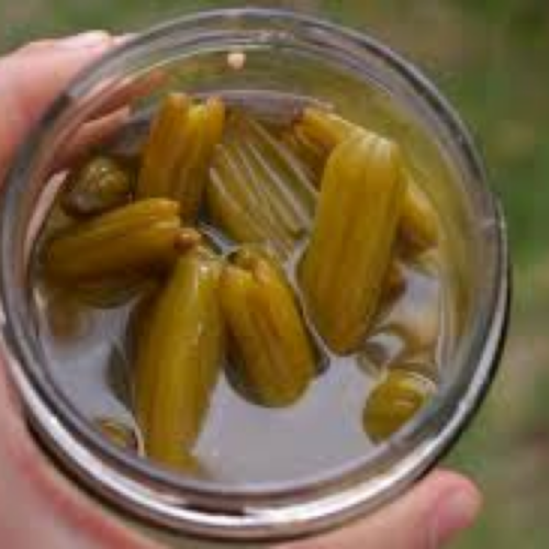 ALIMENTICIOS_QUIRILLAS