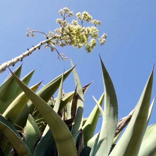 Adelante-2.00_04_53_02.Imagen-fija018