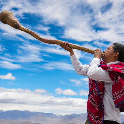 INSTRUMENTOS MUSICALES 2