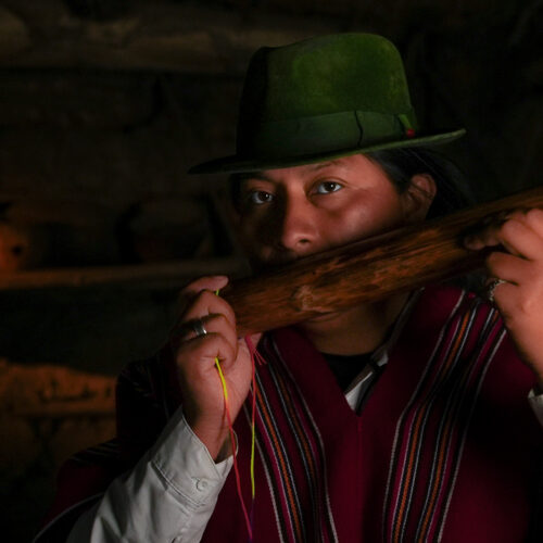 INSTRUMENTOS MUSICALES